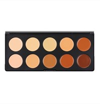 10pc Concealer Palette