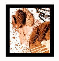 Powder Header Image